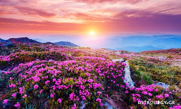 Ημερήσιες Προβλέψεις για όλα τα Ζώδια 24/04
