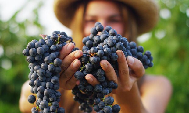 Ημερήσιες Προβλέψεις για όλα τα Ζώδια 03/09