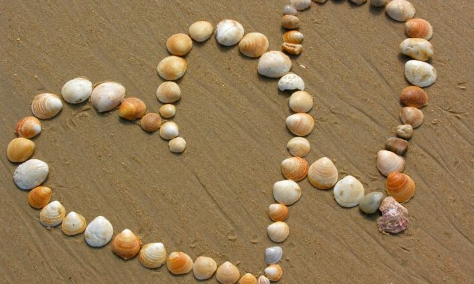 Μαζέψτε κοχύλια και κρατήστε το καλοκαίρι σπίτι σας!