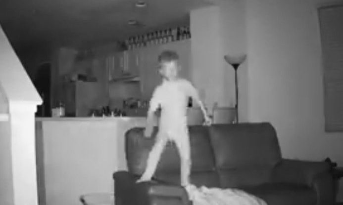 Πήγαν για ύπνο και αυτό που είδαν τους... σόκαρε (vid)