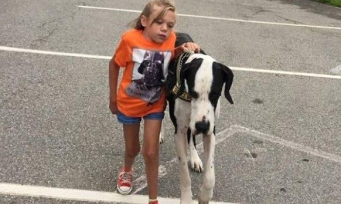 Ο Μεγάλος Δανός βοήθησε τη Μπέλα να περπατήσει ξανά μετά από 9 χρόνια (pics&vid)