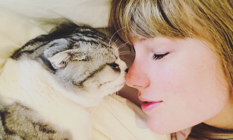 Αυτοί οι διάσημοι αγαπούν τις γάτες και δεν το κρύβουν!