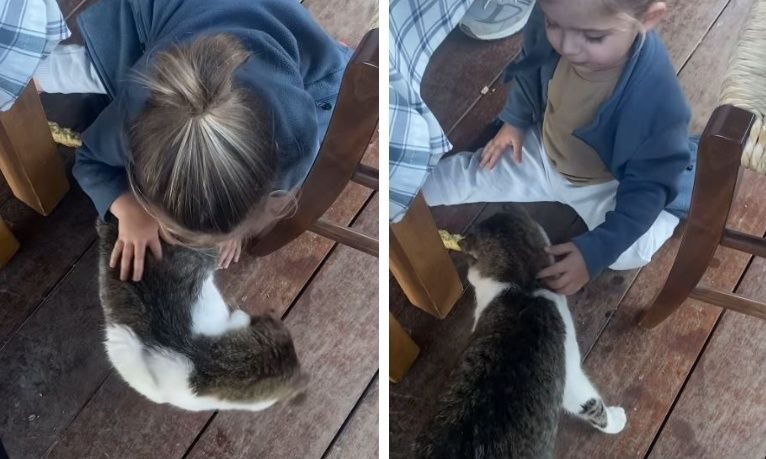 Δημήτρης Αλεξάνδρου: Ο γιος του λατρεύει τα ζώα - Το τρυφερό βίντεο με τη γάτα