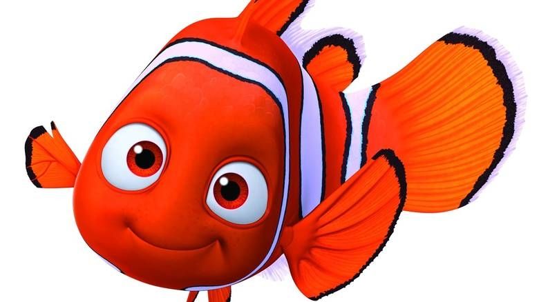 Απειλείται με εξαφάνιση το εξωτικό ψάρι του «Νέμο»