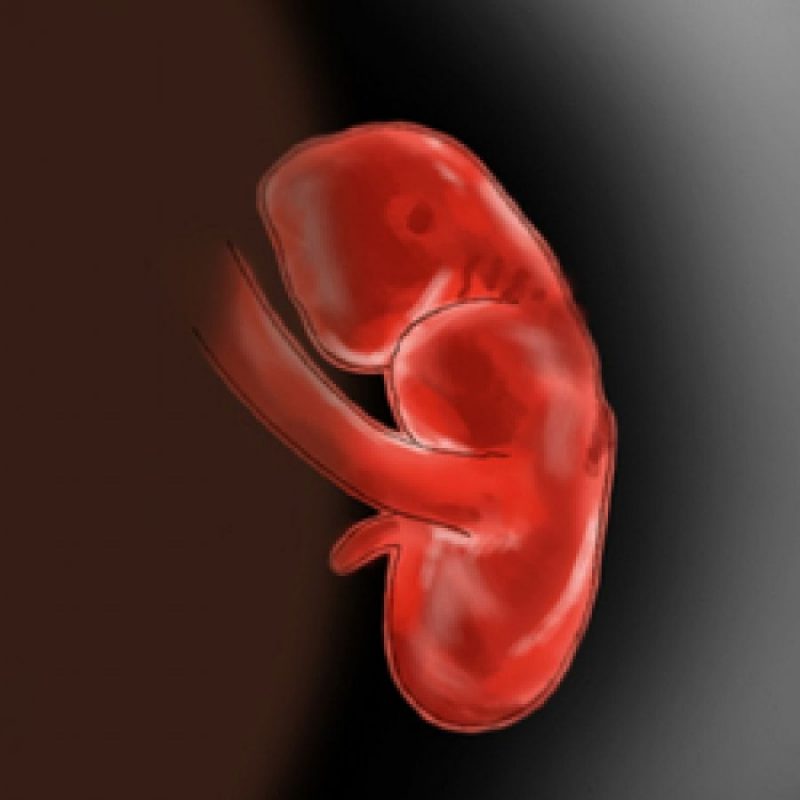 Εβδομάδες 6 - 7