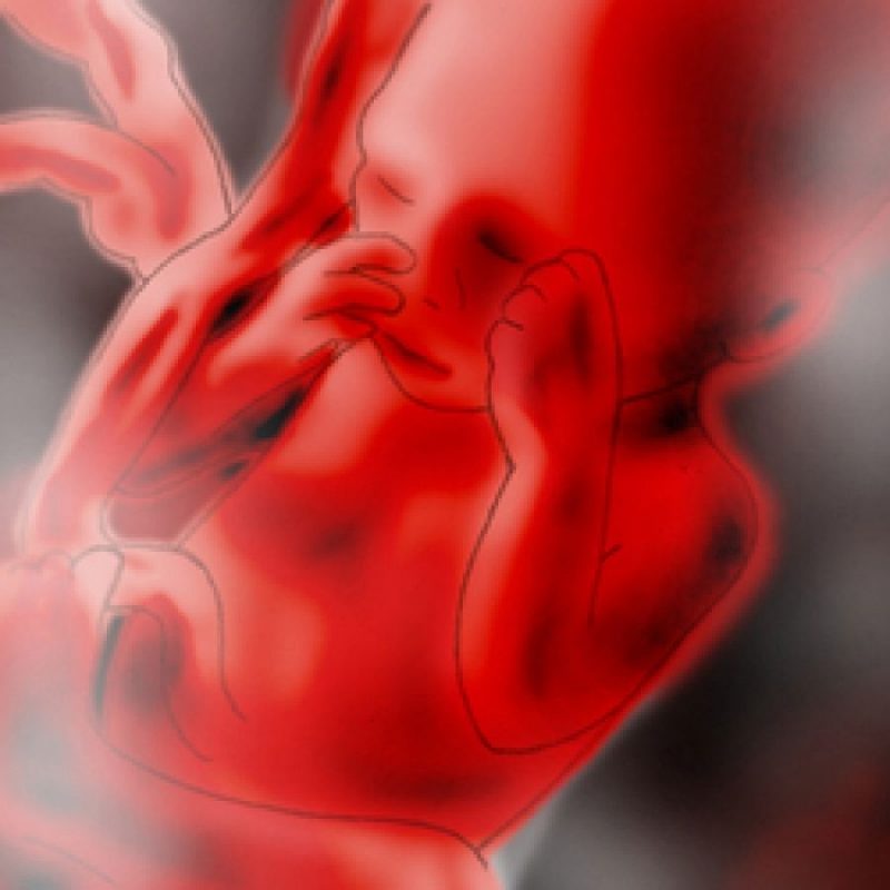 Εβδομάδες 26 - 29