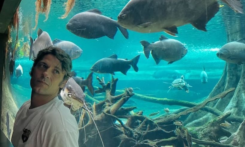 Αποστόλης Τότσικας-Ρούλα Ρέβη: Οι εντυπωσιακές φωτογραφίες από το ενυδρείο της Βαρκελώνης