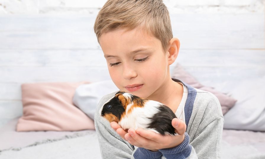 Αγορίστικες φόρμες κάτω από 20 ευρώ