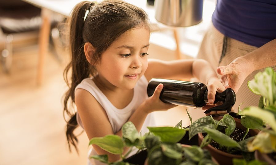 Tips για μαμάδες: Πώς να ραντίσετε χωρίς χημικά τα φυτά σας