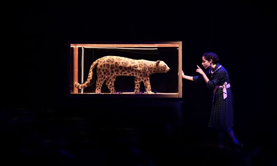 Το θρυλικό «Καπλάνι της Βιτρίνας» επιστρέφει για 2η χρονιά στο Ίδρυμα Μιχάλης Κακογιάννης