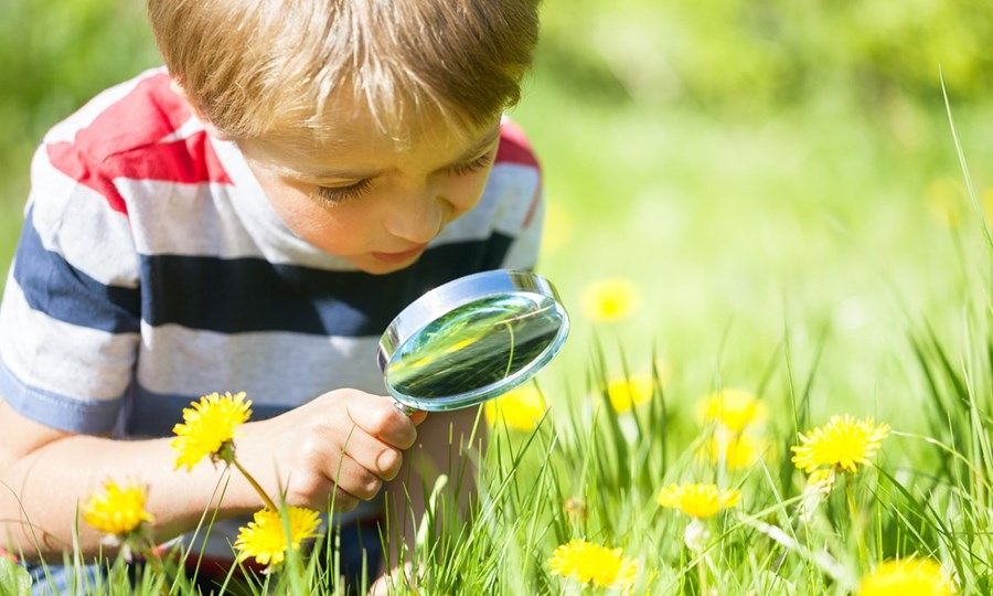 Εντομοσκόπιο διαφανές για τους μικρούς εξερευνητές της φύσης
