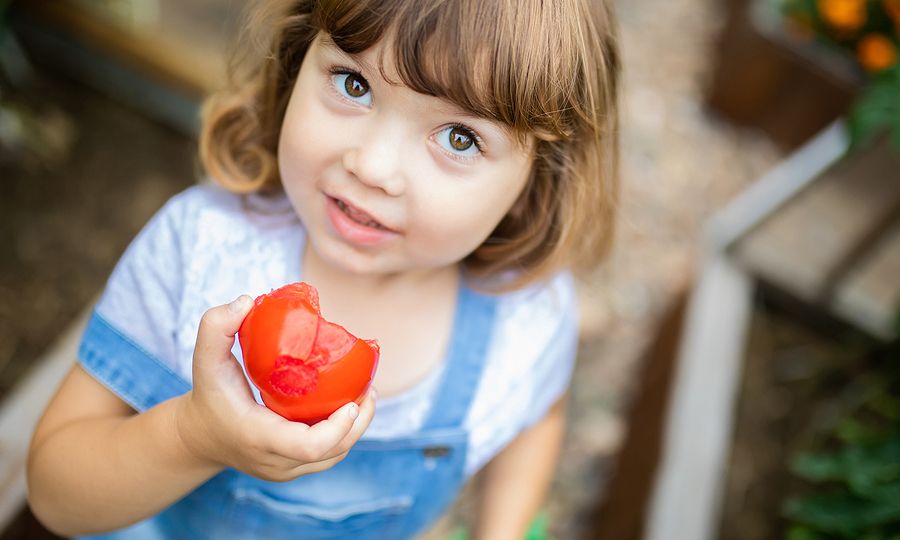 Tips για μαμάδες: Έτσι θα καθαρίσετε το λεκέ από ντομάτα στα ρούχα