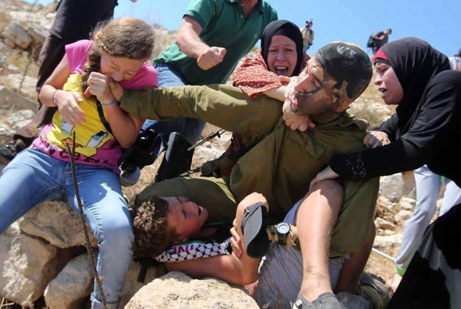 11934984 895753537178236 7277096824298361214 n