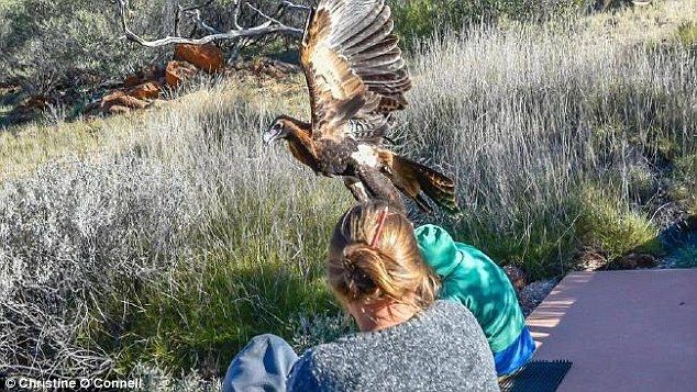 362E140900000578 3685362 Onlookers took photographs as the child who has not been named c a 11 1468289959674