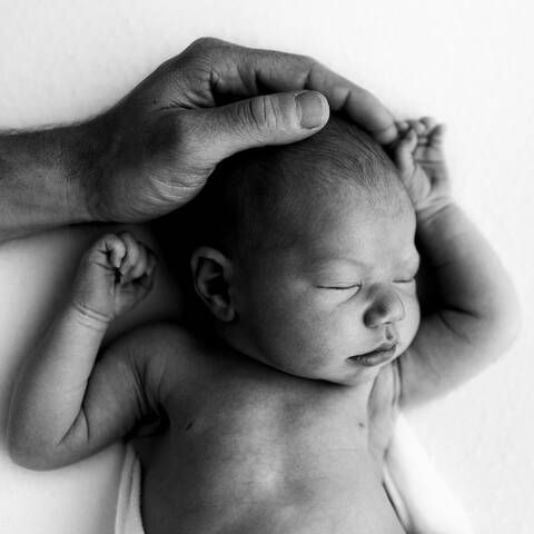 aspromaura porteta mwrwn 5