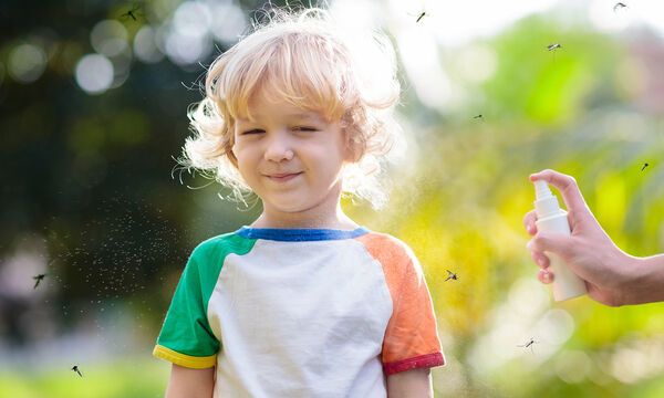 apothitiko kounoypion me kanela 1