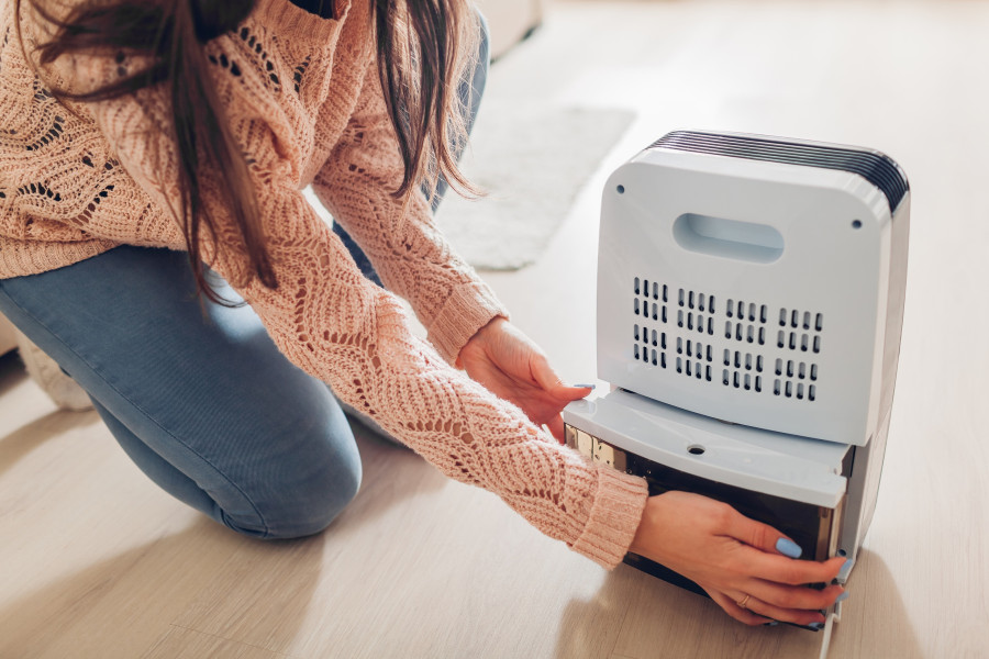 Woman Changing Water Container Of Dehumidifier At Home. Dampness In Apartment. Modern Air Dryer