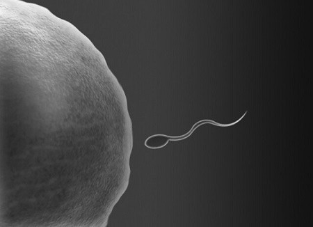 sperma.jpg