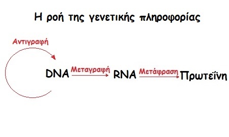 epigenetiki.jpg