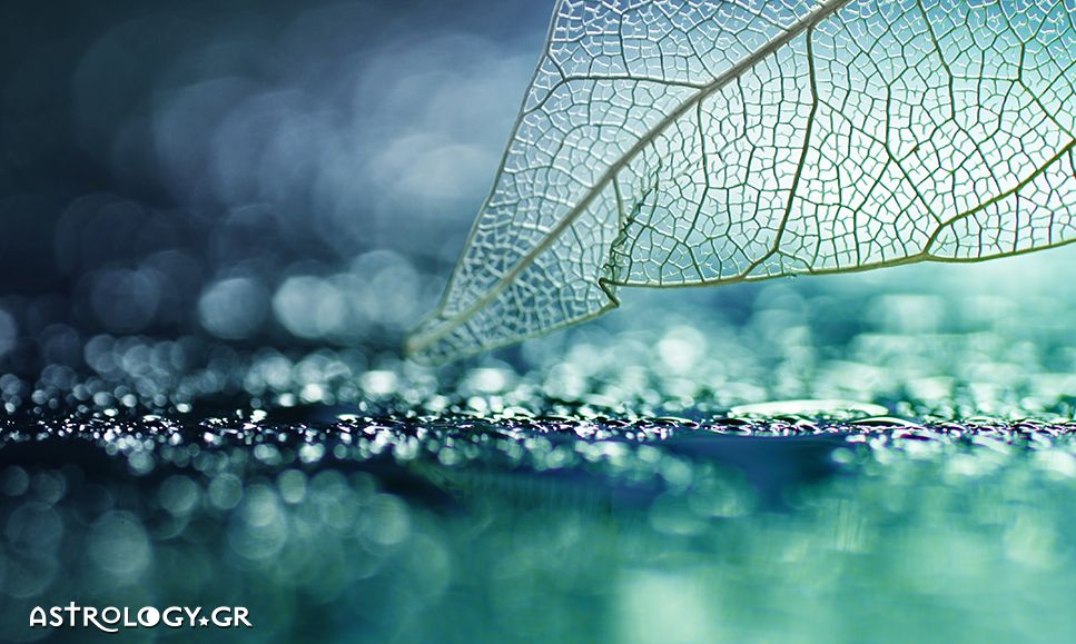 Ημερήσιες Προβλέψεις για όλα τα Ζώδια 06/03