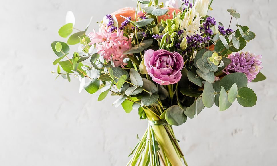 Ημερήσιες Προβλέψεις για όλα τα Ζώδια 27/04