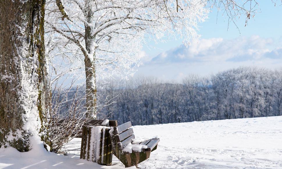Ημερήσιες Προβλέψεις για όλα τα Ζώδια 11/02