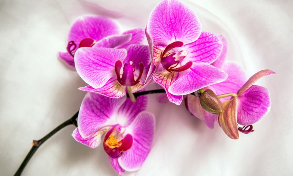 Ημερήσιες Προβλέψεις για όλα τα Ζώδια 12/05